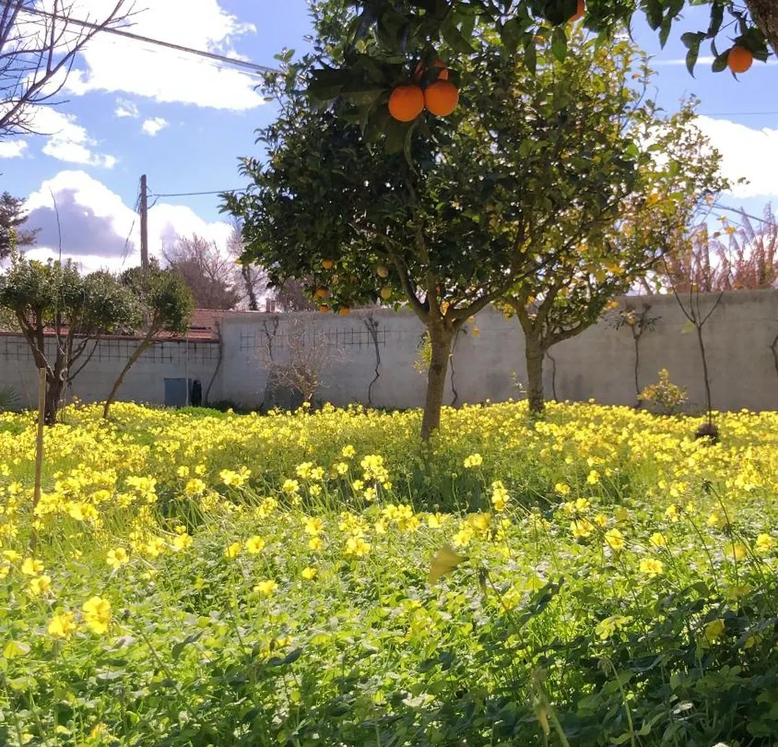 Tottubella Villa Dora דירה